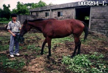 ���� ����