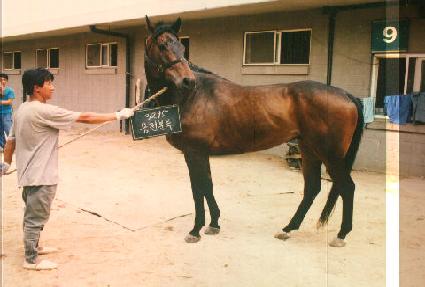 �������� ����