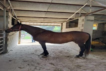 �����Ŀ� ����