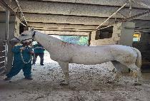 ��ʾܳ����� (DINNER AT NANA��S) ����