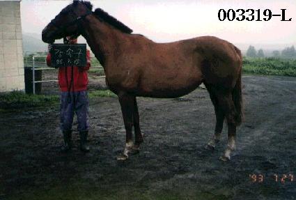 ���ӱ� ����