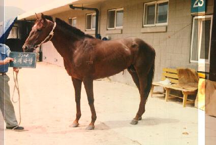 �����ٶ� ����