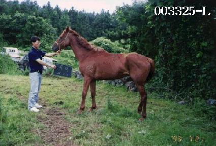 ���� ����