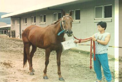 ������ ����