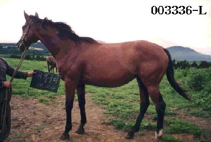 �̸񱸺� ����