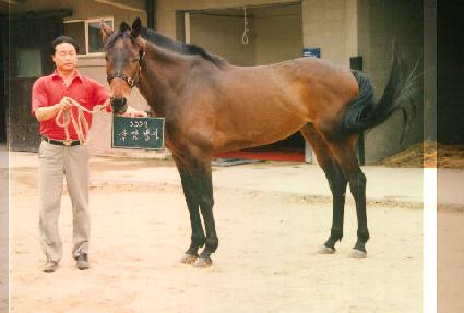 ������� ����