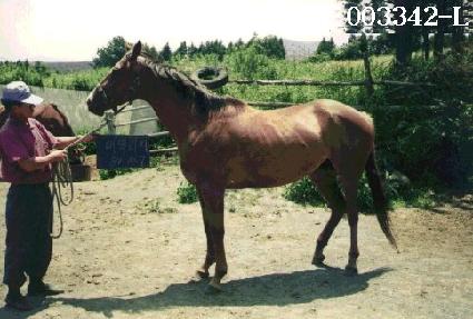 �븷���� ����