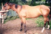 �ҳ��� (SO-NA-GI) ����