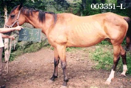 �ҳ��� ����