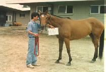 ��Ȧ�� (NA HOL RO) ����