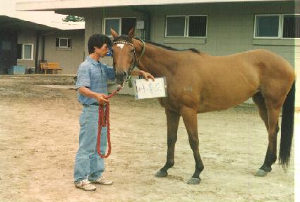 ��Ȧ�� ����