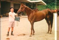 �ҽ� (SO SIN) ����