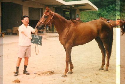 �ҽ� ����