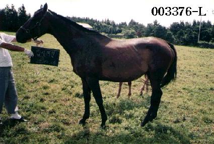 ���ÿ��� ����