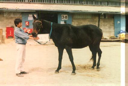 ȣ�� ����