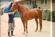 �ض�ȣ (HAE RAN HO) ����