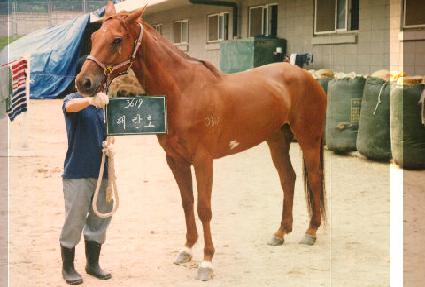 �ض�ȣ ����