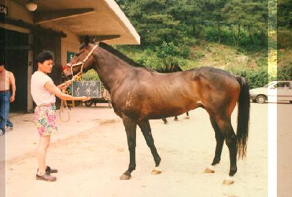 �۱��� ����