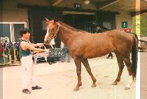 �������� (KWA NEUM POK PO) ����