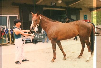 �������� ����