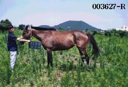 �ҷ���� ����