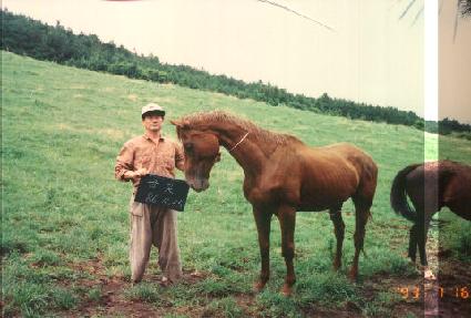 �ݺ� ����