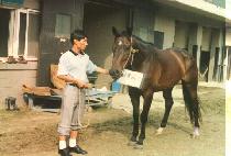 ���۶� (DEOKEULAS) ����