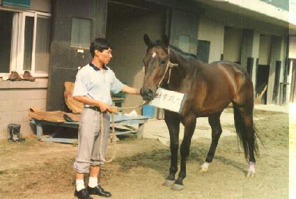 ���۶� ����