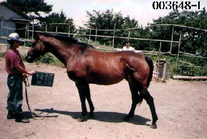 ��Ʋ���� ����