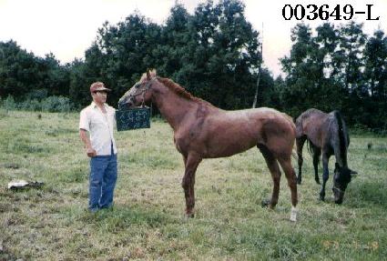 ��ȭâ�� ����