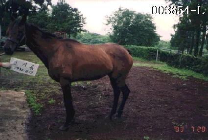 ū�Ÿ� ����