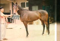 �Ź��� (KEU MUL KEUB) ����