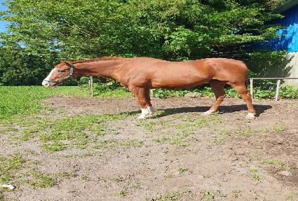 ��Ƽ���÷��� ����