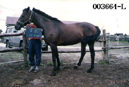 ���� ����