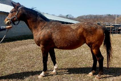 ��Ʈ������ ����