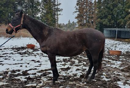 �������ؾ��� ����