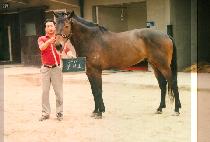 �Ǻ�ȣ (SIL BI HO) ����