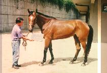 ���ٶ� (KAL BA RAM) ����