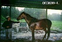 ����ǰ (YE-SUL-PUM) ����