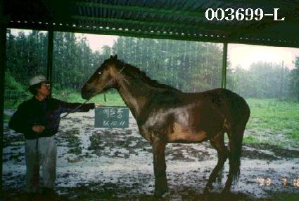 ����ǰ ����