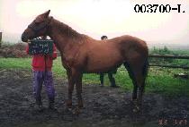 ũ���� (KEU NAK SAE) ����