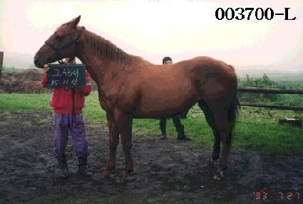 ũ���� ����