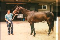 ������ (PANG PA RE) ����