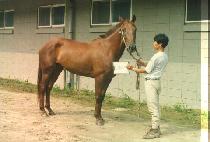 ���ʹϰ� (SWANEE KANG) ����