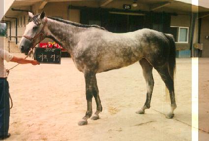 �������� ����