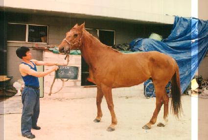 ���� ����