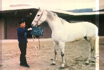 �ƽþƳ� (ASIANA) ����