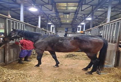 �۾Ϸдٵ��� ����