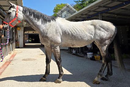 �ָԵ��� ����