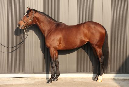 ũ���ֶ���Ʈ ����